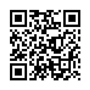 密密麻麻的小型海盗船二维码生成