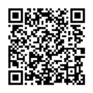 密密麻麻的缝隙如蜘蛛网一般密集地覆盖在金色巨刃之上二维码生成