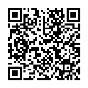 密密麻麻的观众硬是被尚秀宾馆的保安用身体拦截成了三层二维码生成