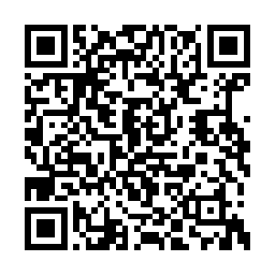 密密麻麻的雷霆巨柱就带着无与伦比的狂暴之力二维码生成