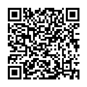 密集又不问青红皂白的把这一带粗暴的翻腾了一遍二维码生成