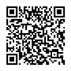 寇凌虚也不会跟自己的孙辈商量将孙女下嫁事宜二维码生成