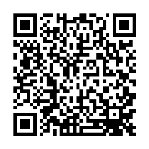 富商米勒一家被害身亡的消息很快就传遍了整个河滩城二维码生成