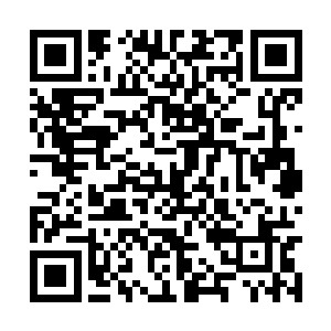 富瑞房产自是请了许多一线二线的明星来演出助阵二维码生成