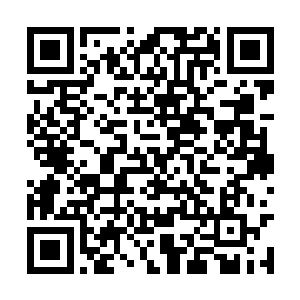 寒丹和药丹云心动地望着赛场上盘膝而坐的许紫烟二维码生成