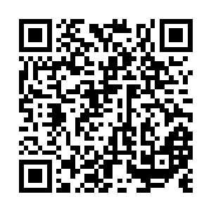 寒丹的目光又落在了许紫烟台子上的那半株生阳草二维码生成