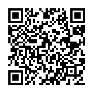 寒仙山的弟子和大家族的精锐碰上了这碧蓝海神二维码生成