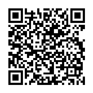 寒光闪烁的秋水软剑在秦东流手中弯出了一个诡异的弧度二维码生成