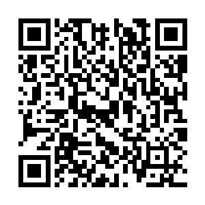 寒湖中的景象也随着他们的深入不断的发生着变化二维码生成