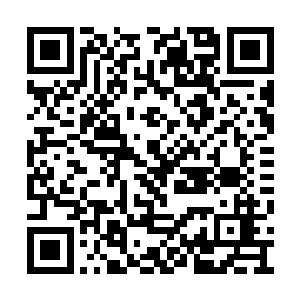 寒焰生命们只默默的缩到了大日寒焰的身后飞着二维码生成