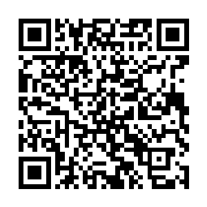 寒菲樱和这个丫头分明是在以其人之道还治其人之身二维码生成