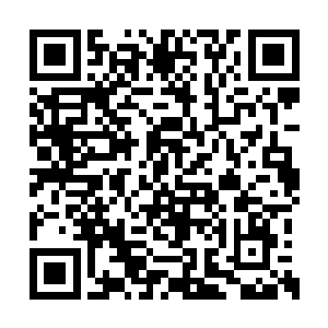 寒菲樱总觉得最近平静的表面下隐藏着一股暗流二维码生成