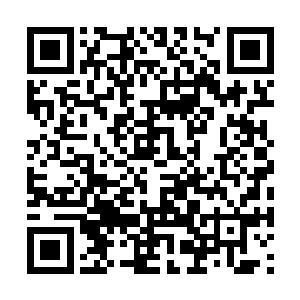 寒菲樱生平第一次觉得自己小人之心度君子之腹了二维码生成