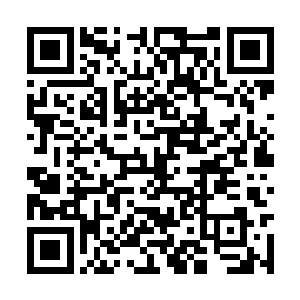 寒菲樱的话让杜盛忽然产生了一种非常不好的预感二维码生成