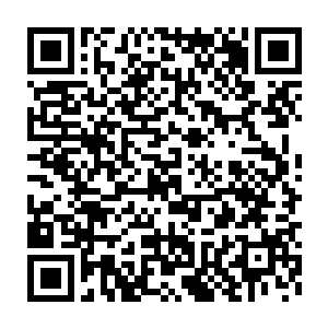 察们则是某件大案……而奥斯卡这样的奖项就是给代表作增添的光环二维码生成
