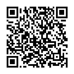 寨中的人此时已差不多将整个山寨都翻过来一遍了二维码生成