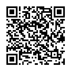 对一个为舞蹈而生的人宣布她今生都不能再跳舞了二维码生成
