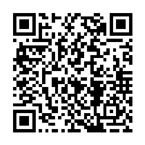 对一直木讷端着酒杯不知道该说什么的巴大成热情二维码生成