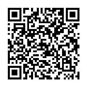 对上元大陆的各个组织有着一个清晰的了解那是基本功二维码生成