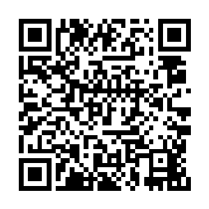 对上那些普通的高手或许算是非常强力的高手了二维码生成