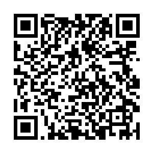 对下品中等圣域绝学君焰麒麟臂的掌控是将近一成半二维码生成