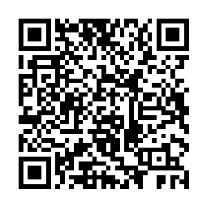 对不对得起党国……哦不……城主多年来对你的栽培二维码生成