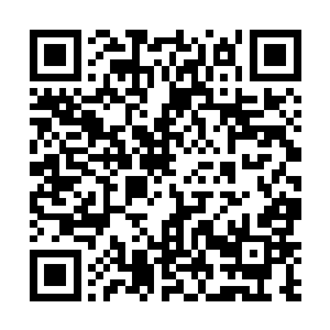 对两个在布拉佩这种地方平静生活了几十年的老人来说二维码生成