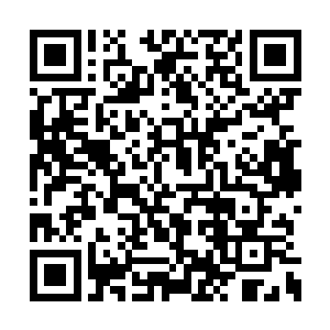 对临山镇每一个领导干部都是有百利而无一害的二维码生成