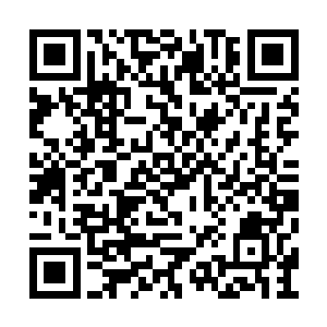 对书里的一些人物和情节留下了模模糊糊的印象二维码生成