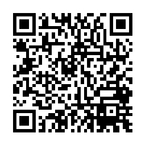 对了老祖宗您不是想要知道我为什么变得这么年轻了吗二维码生成