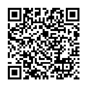 对于一个一直生活优越什么也不会做的浪荡公子来讲二维码生成