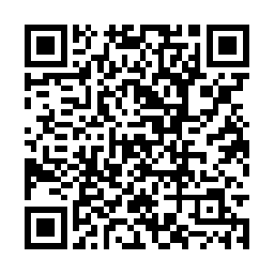 对于一个他们寻找四年的人突然出现在他们的面前二维码生成