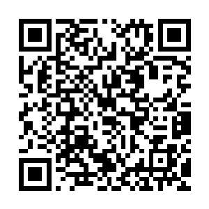 对于一个比较贪玩……哦不……是比较喜欢取材的职业作家来说二维码生成