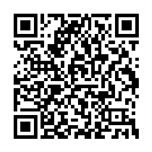 对于一些特殊的巫术实验伤害也有很高的抵抗力二维码生成