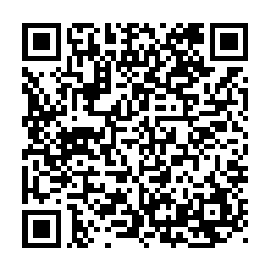 对于世界上最大最好的奢侈品公司来说一千万美元也算不得什么大事二维码生成