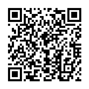 对于东临嫣雪对长阳产生了情意一事还保持着几分怀疑的话二维码生成