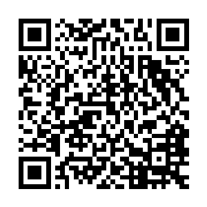 对于他们之所以会这样笃定她只会三脚猫武功其实也是有原因的二维码生成