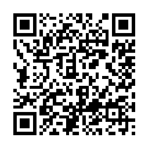 对于他们来说只要走亲戚就是一件让人开心的事情二维码生成