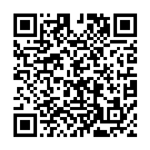 对于他们来说苏凡并不想他们跟着自己一样到时候沦落天涯二维码生成