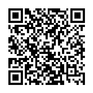 对于他们来说还是第一次如此近距离地看这个丑八怪呢二维码生成