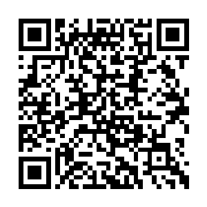 对于他来说这可不仅仅是上品先天灵宝这么简单二维码生成