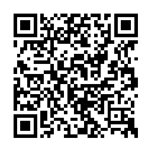 对于以往并不是以综艺节目见长的红荔卫视来说二维码生成
