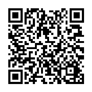 对于以杀戮为传奇领域的红路领军有着不错的加成二维码生成