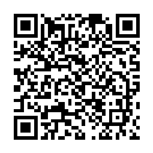 对于任何企图挑衅毛里克斯拉尼自由国和我本人尊严的人二维码生成