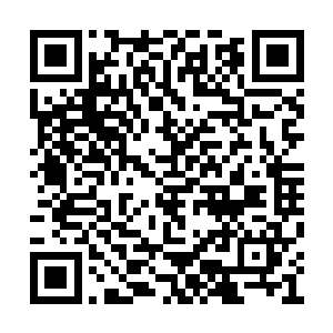 对于使用防空导弹都是新手的几个人溜了一圈后二维码生成