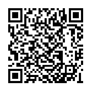 对于侍卫来说奋不顾身却连伤都不受也太假了点二维码生成