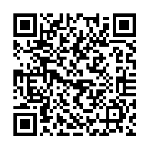 对于像他们两个这样的分神期修士没有太大的难度二维码生成