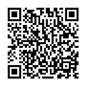 对于像六刹老祖或者是化虚境界的修士恐怕连自保的力量都没有二维码生成