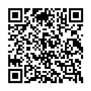 对于元瞋神王跟吴岩结成血誓盟友似乎颇有看法二维码生成