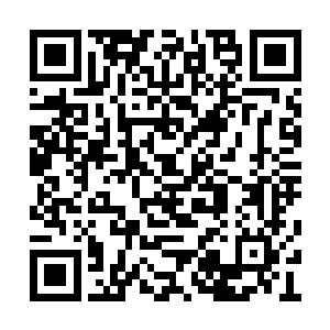 对于先生的安保计划都是可以通过备案去查询的二维码生成